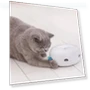 Electric Rotating Turntable Funny Cat Toy — Cat Playthings