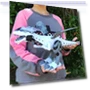 Electronic Walking Dinosaur Toy — Interactive Learning Devices, JJRC