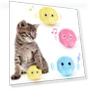 Interactive Cat Toy Ball — Cat Playthings, Yiran Furniture