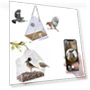 Smart Bird Feeder with Camera — Outdoor & Wildlife Cameras, Xingben Four