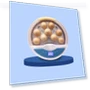 Smart Egg Incubator — Egg Cookers, G KE