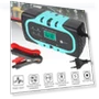 Fully Automatic Pulse Repair Fast Charger — Chargers, Optimized General