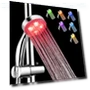 LED Shower Head — Fixed, HILIFE