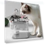 Professional Cat Water Fountain — Pet Hydration Solutions, Cuperay