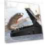 Sensitive Rat Trap Bucket, 2-Pack — Traps, Hello Garden