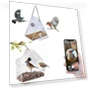 Smart Bird Feeder with Camera — Outdoor & Wildlife Cameras, Love Valley