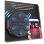 Smart Electronic Wall Target — Boxing Training Gear, Binchi Keji Travel