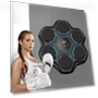Smart Musical Boxing Target — Boxing Training Gear, Binchi Outdoor Equipment