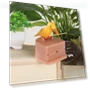 Smart Press Type Bird-Shaped Toothpick Holder — Boxes, TOP-HOME MALL
