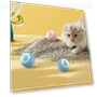 Automatic Rolling Ball Cat Toy — Cat Playthings, Wnzdswn