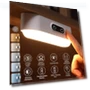 LED Desk Lamp with Touch Control — Study & Desk Lighting, Actually lighting