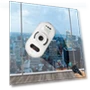 Smart Window Cleaning Robot — Smart Cleaning Robots, First choice