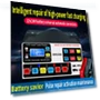 International Smart Pulse Charger — Chargers, Global Finds