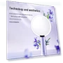 Smart Light Makeup Mirror — Handheld, AMIRO