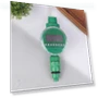 Electronic Garden Watering Timer — Controllers, Diner