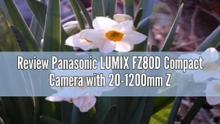 Review Panasonic LUMIX FZ80D Compact Camera with 20-1200mm Zoom Lens, Point and Shoot Digital Camera