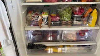 GE French Door Refrigerator Review - GFE26JGMBB