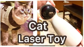 Cat automatic laser toy / BINGNET Cat / Dog Sweater review