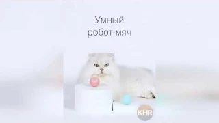 Умный робот-мяч для кошек и собак. Интерактивная игрушка-дразнилка для домашних животных.