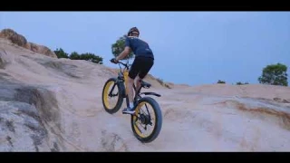 GOGOBEST GF600 Fat-tire E-bike