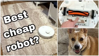 Dreame Bot D10 Plus Robot Vacuum Review Demo & Maintenance Tips - Dreametech