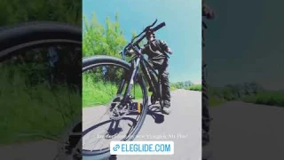 The Ultimate e-Bike for @RensvanDaalen Van Life - Eleglide M1 Plus