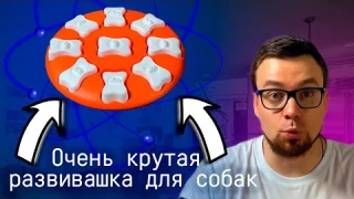 Умный обзор: интерактивная игрушка для собаки