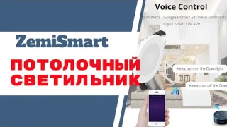 Zemismart Умный потолочный RGB светильник с голосовым управлением