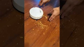 $20 sweeping robot vacuum vs $100 vacuum #shorts #funny #amazon #powerforce #vacuumcleaner