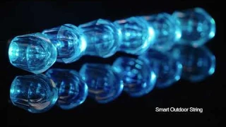HVS Smart Outdoor String Lights