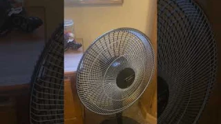 Lasko pedestal fan