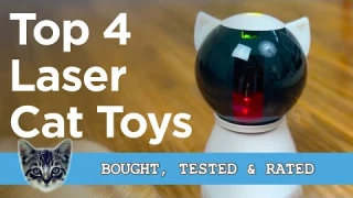 The Best Cat Laser Toy - Watch My Cat react And Make Your Choice (4 Toys On Test!)