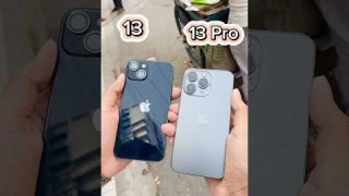 iPhone 13 Vs iPhone 13 Pro || Camera Zoom Test! #shorts