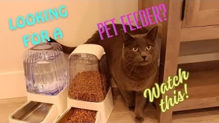 Worry-Free Pet Feeding: Automatic Feeder & Waterer Review!
