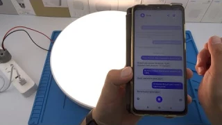 Недорогой Умный потолочный светильник с Алисой wifi с голосовым управлением Alexa Google дом ЧАСТЬ 2