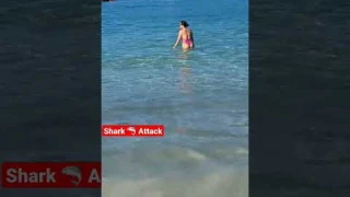 🇧🇷 Shark Attack | Rio De Janeiro Atlantic Ocean #shark #travel #subscribe #comedy #brazil #ocean