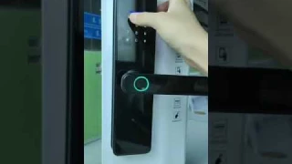 WiFi Smart Door Lock with Tuya APP Control