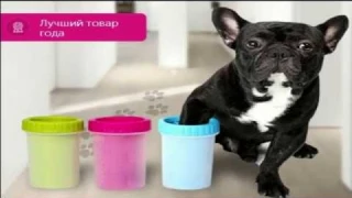Обзор лапомойки для собак - Clean Dog. Уход за лапами собак