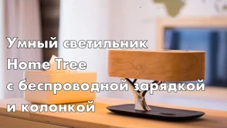 HomeTree Light Of the Tree - ночник, колонка и зарядка - полный функционал