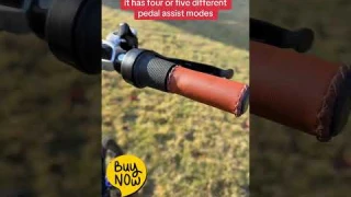 Affordable E-bike - VELECTREC VEFREEDOM 26" 1000W Motor Peak Electric Bike Amazon EBike