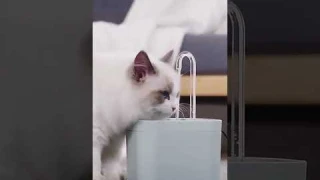 Water fountain for cats, automatic filter USB, silent electric bowl for cats😺😍