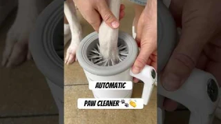 An automatic paw cleaner 🙌🐾 #dog #dogs #paw #paws #clean