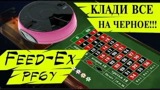 Обзор автоматической кормушки для кошек и собак - Feed-Ex PF6Y на 6 кормлений.