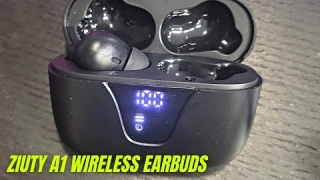 ZIUTY A1 Wireless Earbuds Review & Instructions Manual | Bluetooth Headphones with LED Charging Case