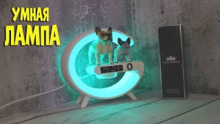 Умная bluetooth лампа G63 с подсветкой | Smart led lamp