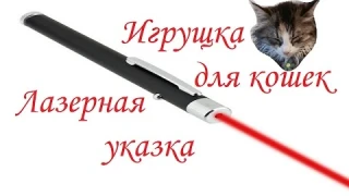 Лазерная указка или игрушка для кошек / Laser pointer or a toy for cats