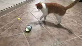 Smart Electronic Cat Toy Interactive Automatic Rotating Led Cat Teaser