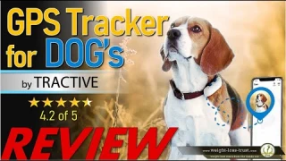Tractive Waterproof GPS Dog and Pet Tracker REVIEW