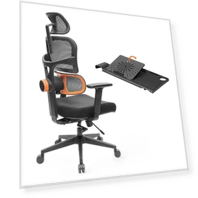 Ergonomic Chair with Detachable Workstation Desktop — कमर सपोर्ट, NEWTRAL
