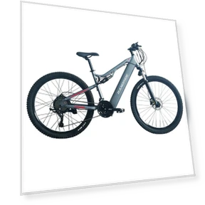 Electric Bike — E-Bikes, RANDRIDE